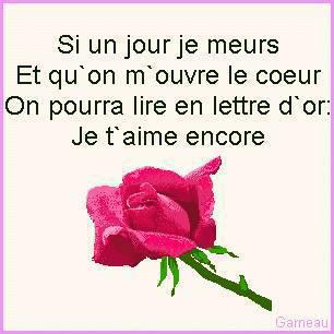 slt mes reines