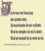 slt &agrave; mes reine