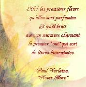 slt &agrave; mes reine