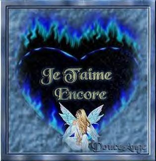 slt mes reines
